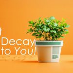 The Content Kitchen: Let’s Cook!